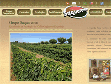 Tablet Screenshot of gruposaquarema.com